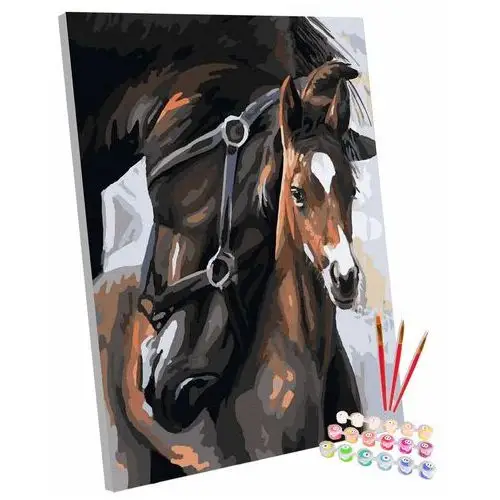 Zestaw do malowania po numerach, 40x50 cm, Konie