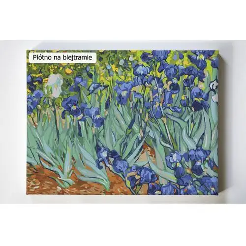 Irysy Van Gogh, Vincent, kwiaty, irys, malowanie po numerach