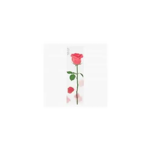 Appree Karteczki samoprzylepne pionowe Róża czerwony 2 x 20 kartek