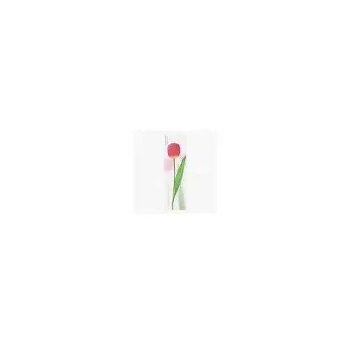 Appree Karteczki samoprzylepne pionowe tulipan