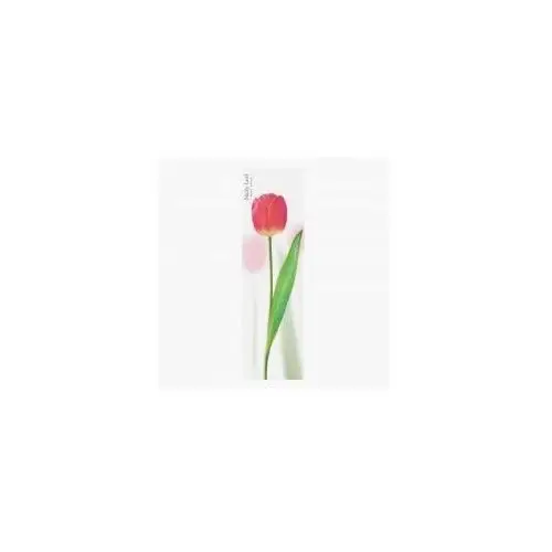 Appree karteczki samoprzylepne pionowe tulipan różowy 2 x 20 kartek