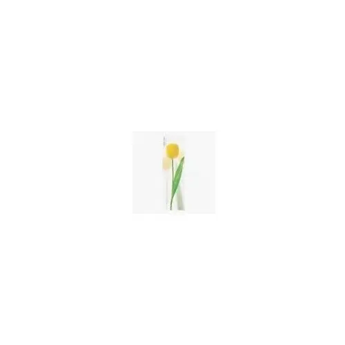 Karteczki samoprzylepne pionowe Tulipan żółty