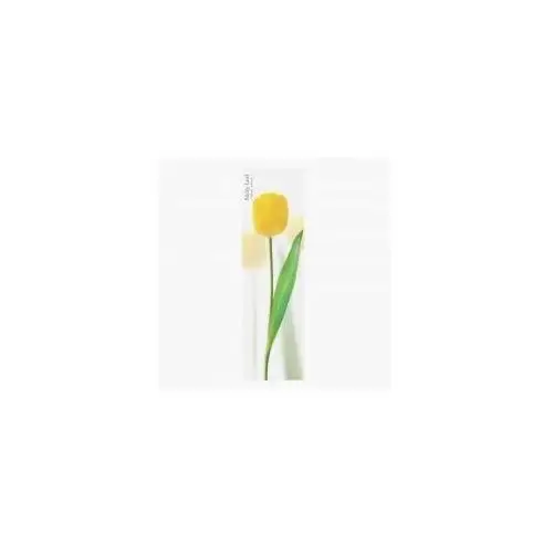 Karteczki samoprzylepne pionowe tulipan żółty żółty 2 x 20 kartek Appree