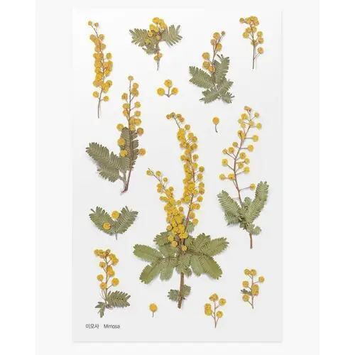 Appree, Naklejki, Ozdobne Kwiaty Mimoza