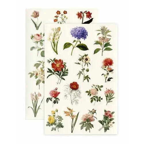 Argo sa Naklejki letnie kwiaty, 4 arkusze 120x180mm (54szt.)- półprodukt dekoracyjny