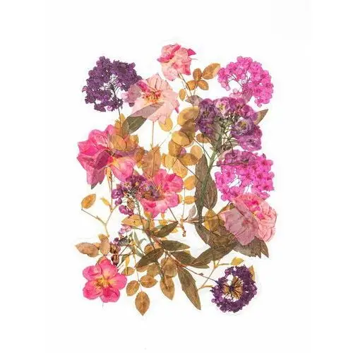 Argo sa Naklejki transparentne hortensje i róże (12szt)- półprodukt dekoracyjny
