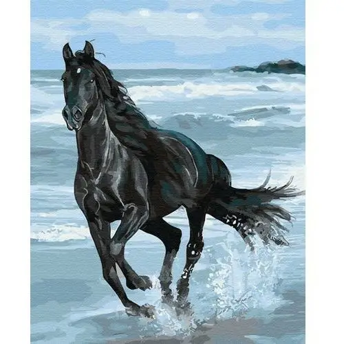Artnapi 40x50cm Malowanie Po Numerach - Czarny koń - Bez Ramy