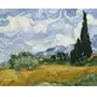 Artnapi 40x50cm Obraz Do Malowania Po Numerach Na Drewnianej Ramie - Pole Pszenicy Z Cyprysami Van Gogh Sklep