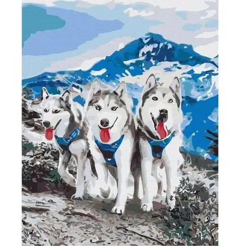 Artnapi 40x50cm Zestaw Do Malowania Po Numerach - Husky przyjaciele - Na Drewnianej Ramie