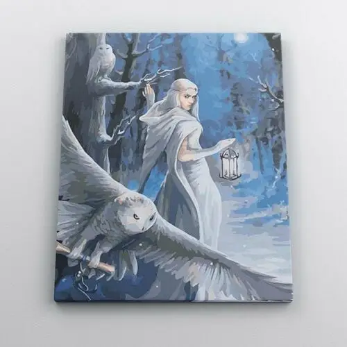 Leśna czarodziejka z sowami - Malowanie po numerach 50x40 cm
