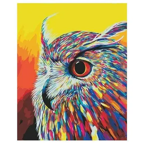 Wielobarwna sowa - Malowanie po numerach 50x40 cm