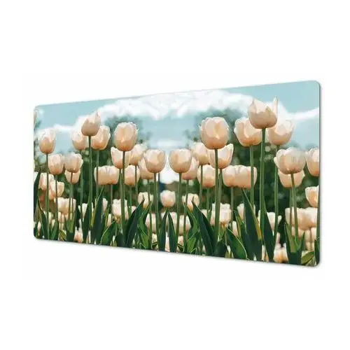 Artprintcave Winylowa podkładka 120x60 kolorowa łąka tulipanów