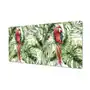 Winylowa podkładka ze wzorem modna papugi tropiki, Artprintcave Sklep