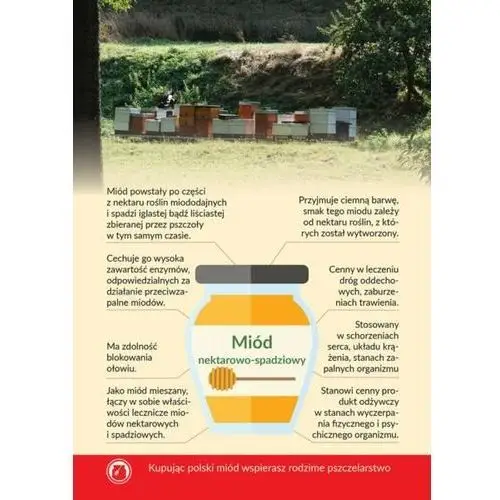 Bee&honey Karta informacyjna a4 'miód nektarowo-spadziowy' (1szt) - wzór ki9
