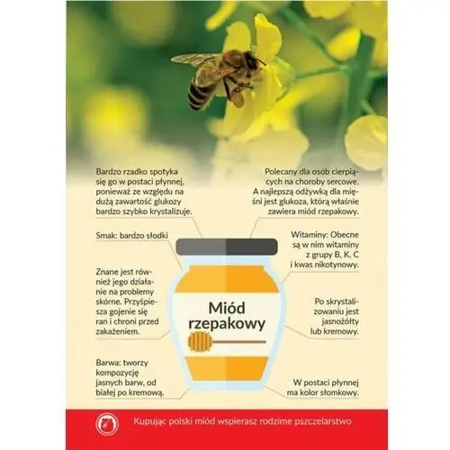Karta informacyjna a4 'miód rzepakowy' (1szt) - wzór ki11 Bee&honey
