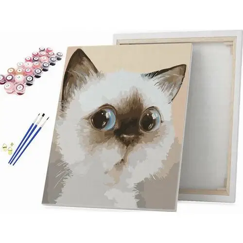 Beliart Niebieskooki kotek - malowanie po numerach