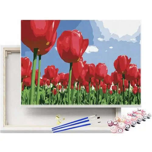 Beliart Obraz do malowania po numerach pole tulipanów