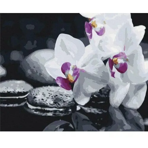 Malowanie po numerach 40x50cm zen flowers Brushme
