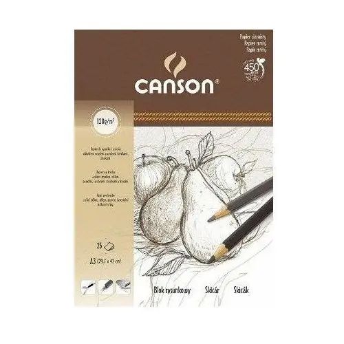 Blok rysunkowy Canson, A3, 25 kartek