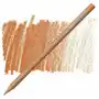 Kredka caran d`ache nr.876 burnt ochre 50% luminance 6901 Caran d'ache Sklep