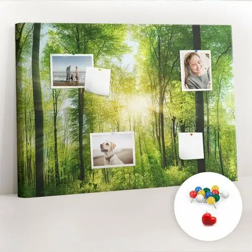 Coloray Organizer, tablica korkowa 100x70 cm + kolorowe pinezki - natura las drzewa