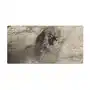 Coloray Ozdobna mata na biurko lew afryka wzorki 100x50 cm Sklep
