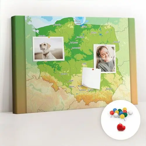 Coloray Szkolna tablica korkowa 60x40 cm, kolorowe pinezki, wzór mapa fizyczna polski