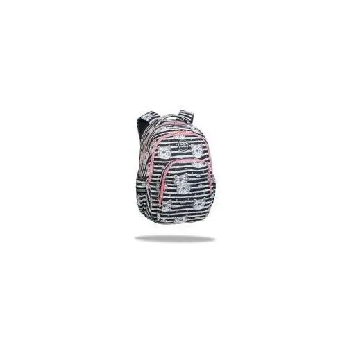 Plecak młodzieżowy basic plus catnip f003695 Coolpack