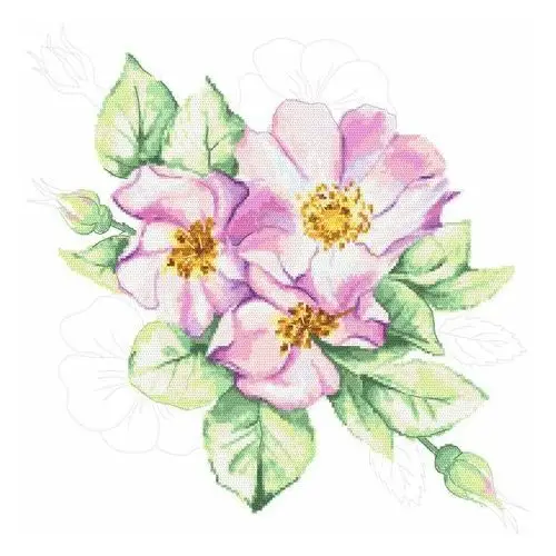 Haft krzyżykowy - zestaw do haftu - kwiaty dzikiej róży Coricamo