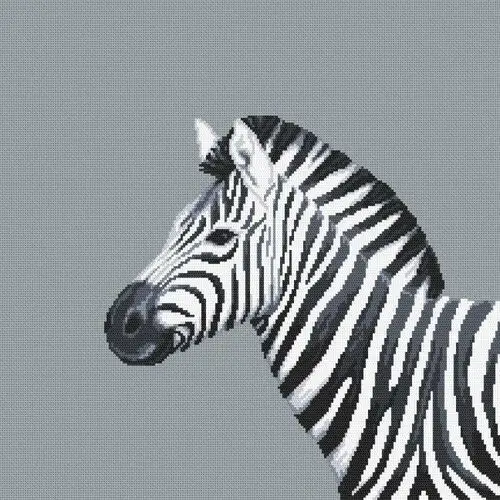 Zestaw Do Haftu - Czarno-Biała Zebra