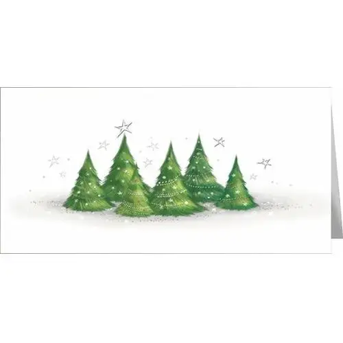 Czachorowski Świąteczny pejzaż zimowy kartka bożonarodzeniowa z tekstem lz-t 60