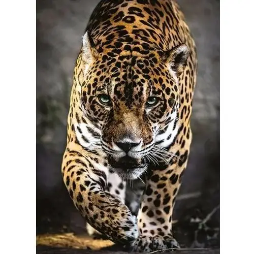 DIAMENTOWA PASJA Haft Diamentowy Mozaika Diamentowa JAGUAR KOT Z KOTEM