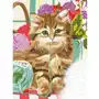 Duży zestaw do malowania po numerach artiste cute kitten Dpcraft Sklep