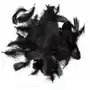 Dpcraft Piórka dekoracyjne 5-12 cm 10g czarne dalprint Sklep