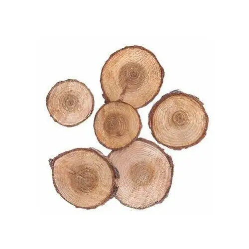 Plastry drewna okrągłe, 3-4 cm, 6 sztuk