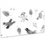 Mata z nadrukiem na biurko rysowane ptaki 100x50 cm, Dywanomat Sklep