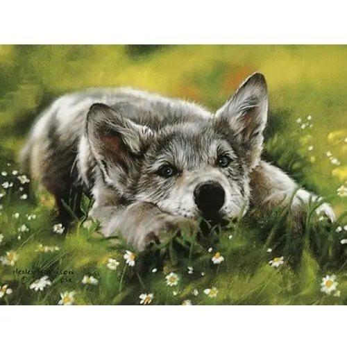Creadu, Mozaika diamentowa, Pies na łące, 40x50 cm