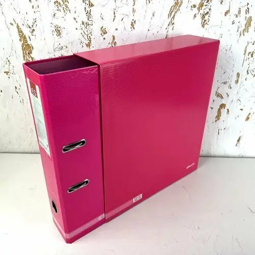 Ev-corp Segregator a4 z dźwignią z pudełkiem classic stripes różowy