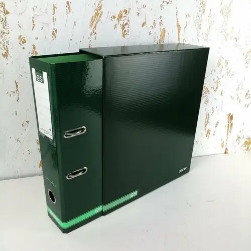 Ev-corp Segregator a4 z dźwignią z pudełkiem classic stripes zielony