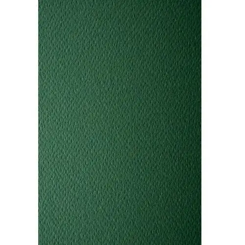 Papier ozdobny kolorowy wycinanka a5 c. zielony 220g 10 ark. - na zaproszenia dyplomy certyfikaty Favini