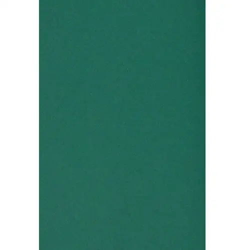 Papier ozdobny kolorowy wycinanka a5 c. zielony 250g 10 ark. - na okładki do albumów do prac scrapbookingowych Favini