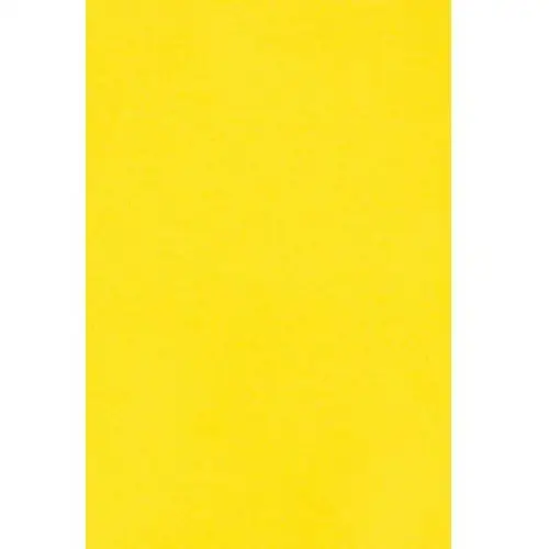 Favini Papier ozdobny kolorowy wycinanka a5 żółty 250g 10 ark. - na okładki do albumów do prac scrapbookingowych