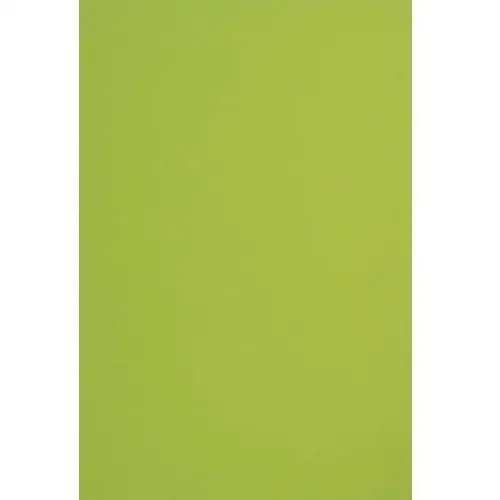 Fedrigoni Papier ozdobny gładki a4 j. zielony sirio color lime 115g 50 ark. - na wycinanki dla dzieci do przedszkola origami żywy kolor