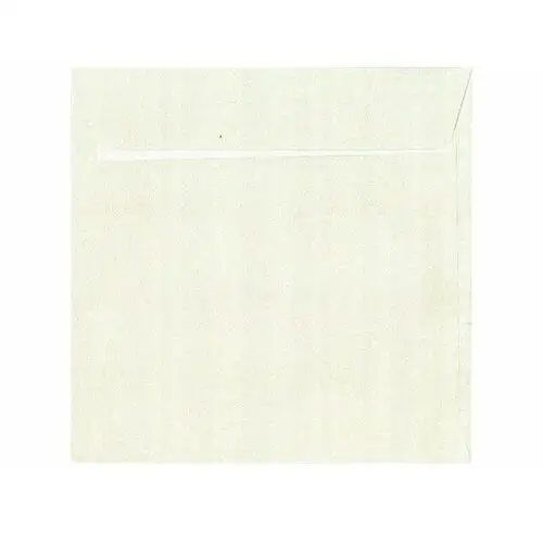 Galeria papieru Koperty ozdobne argo kw millenium białe 120/10