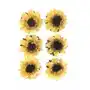 Galeria papieru Kwiaty papierowe samoprzylepne słonecznik 6 sztuk Sklep