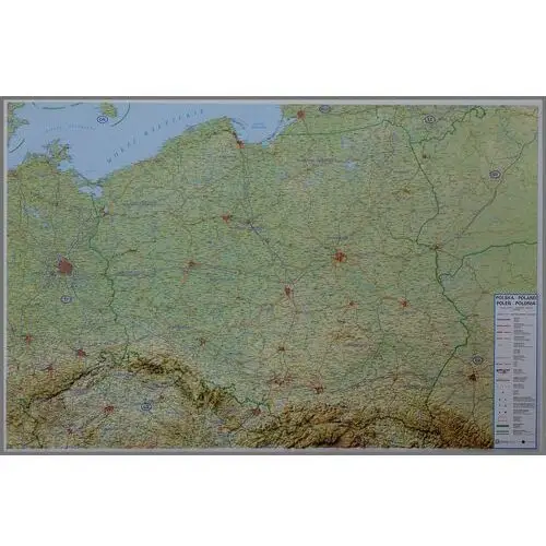 Global Map, Polska. Mapa ścienna plastyczna w ramie, 1:800 000
