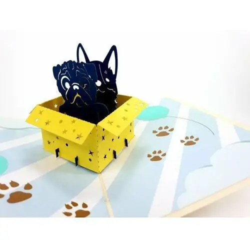Karnet okolicznościowy 3D, Urodzinowe psy w pudełku