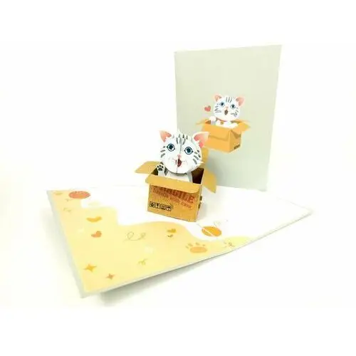 Grandgift Kot schowany w pudełku kartka 3d kociarze urodziny