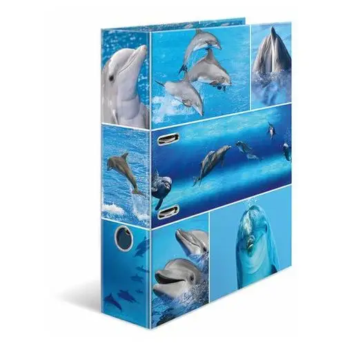 Segregator kartonowy A4 Delfiny 7 cm