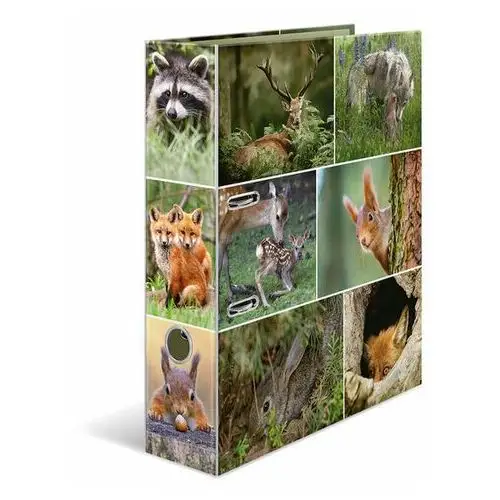 Segregator kartonowy A4 Dzikie zwierzęta 7 cm